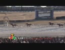 第21回名古屋グランプリ ヴェルテックス