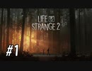 【実況】パーティーだ！TGIF！【Life is Strange2】part1