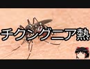 【ゆっくり朗読】ゆっくりさんと不思議な病気 その463