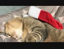 食べて寝るだけのクリスマス