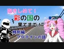 【notついなちゃん車載】抱きしめて！彩の国の果てまで！ 特別編・プロテインのお話【CB250R】