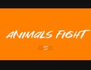 Animals Fight