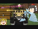 【Minecraft】魔理沙のやりたい事をやっていくMinecraft　part9.5【ゆっくり実況】