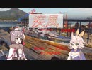 【アズレンWoWs】疾風流行って【寒色noobの奮闘記】