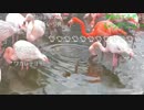 『 旅部49』福岡04