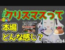 本場のクリスマスはどんな感じ？動画レビュー