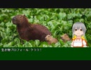 生き物プロフィール: クララ！