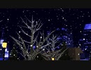 【Rana】Snow halation【カバー】