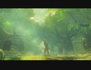 【字幕】#8 ゼルダの伝説BotW RTA AMQ No Restrictions 2:28:20【ムービーあり】