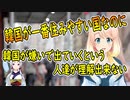 【韓国の反応】韓国が嫌いで出ていくという人が理解出来ない【世界の〇〇にゅーす】