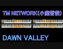 TM　NETWORK（小室哲哉）　DAWN VALLEY　 Instrumental  plugin UVI/Model D UVI/Synth Anthology 3