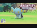 こんな可愛い生き物がこの世に存在してて良いんですか？ #3【ポケットモンスター シャイニングパール】