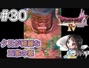 【DQ4/ドラクエ4初見】ガーデンブルク、王家の墓攻略-#30