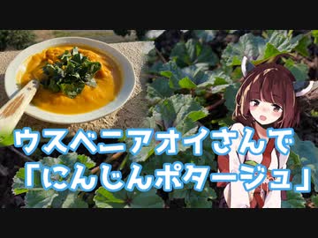 【思い切って野草を食べてみよう】#48 ウスベニアオイさんで「ポタージュ」！【飲み物祭2021】
