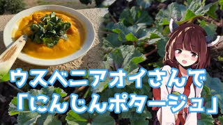 【思い切って野草を食べてみよう】#48 ウスベニアオイさんで「ポタージュ」！【飲み物祭2021】