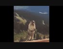 絶叫するルルン・ルルリカ