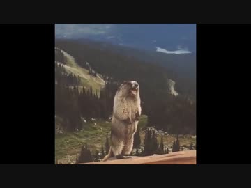 絶叫するルルン・ルルリカ