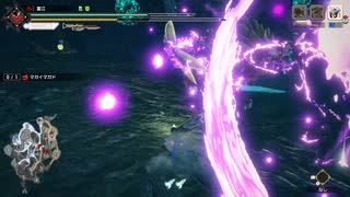 【MHRise】イベ7 炎の如く、日々を強く生きろ (マガイマガド） 05’39”12 TA wiki rules