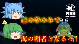 【ゆっくり実況】噛むだけが最強の道じゃない！　拳ひとつで頂点を目指す！【Feed and Grow Fish】