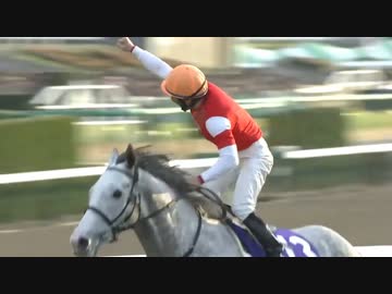 ゴールドシップ 2012有馬記念 馬券 JRAホームページ｜データ