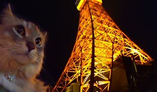 ただそのままでいるための超簡約指南５