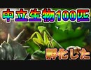【検証】中立生物100匹孵化させて橙品質がどれくらい生まれてくるか調べてみた【ザアンツ #14】