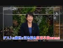 年末の総復習！超入門MMT ゲスト：高市早苗（自民党政調会長） b