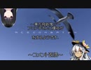 【東方有頂天実況】東方飛鉄塊Ⅱ～ブロン子さんと輝夜がエースコンバット04をプレイするようです コメント返信