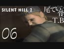 【初見】リバースしてたのは若者だった SILENT HILL2 part6