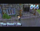 【休めよ】田舎町でスローライフしよう【The Good Life】 #14