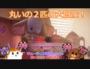 丸いの２匹の大冒険！It Takes Two#９