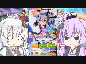 【ウマ娘】ゆかりさんはタマモクロスを引きたい