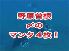 野原曽根・ギンガメアジ・〆のマンタ4枚