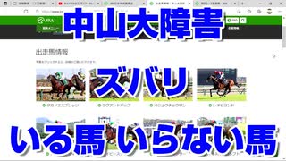 【競馬予想tv】中山大障害2021 ズバリ いる馬 いらない馬 有馬記念 阪神カップ ホープフルステークス【武豊tv ルメール】