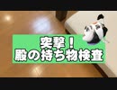 殿の荷物がエグすぎたw