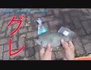 【釣り動画】実は隣の釣り人に大物グレを頂きました！