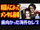 【韓国の反応】 韓国人から メンタルを 崩壊させられた 海外セレブがこちら 韓国人に歯向かうと こうなるという