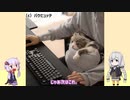 【ゆっくり解説】思わずなるほど！とつぶやくデザイン10選とデザインの考え方【VOICEROID解説】
