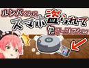 ルンバくんとの新居生活がなかなか面白いことになりそうなみこち