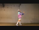 【パラライ】ラストリゾート【踊ってみた】