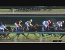 【新時代の到来】 第66回有馬記念