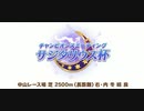 (ウマ娘)チャンピオンズミーティング　サジタリウス杯　グレードリーグBグループ【永遠の初心者】