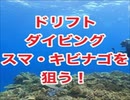 ドリフトダイビング・スマキビナゴを捕食・ギンユゴイ・スキューバダイビング