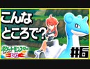ポケットモンスターLet’s GO D社Part6