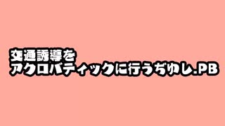 交通誘導をアクロバティックに行うぢゆし.PB