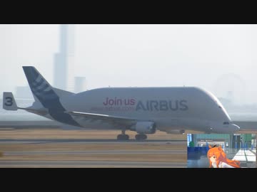 AIRBUS A300-600STベルーガが来日したので突撃した
