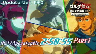 【字幕解説】ゼルダ無双 厄災の黙示録RTA NG+/アポカリプス 2:50:55 Part1