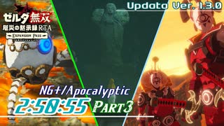【字幕解説】ゼルダ無双 厄災の黙示録RTA NG+/アポカリプス 2:50:55 Part3