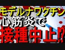 【ゆっくり解説】モデルナワクチン接種後に10〜20代男性に心筋炎が多い!?｜モデルナワクチンの心筋炎発生で接種中止⁉｜コロナワクチン関連ニュース
