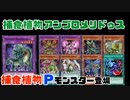 【遊戯王ADS】捕食植物アンブロメリドゥス